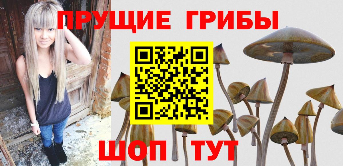 Галлюциногенные грибы мицелий Холмск