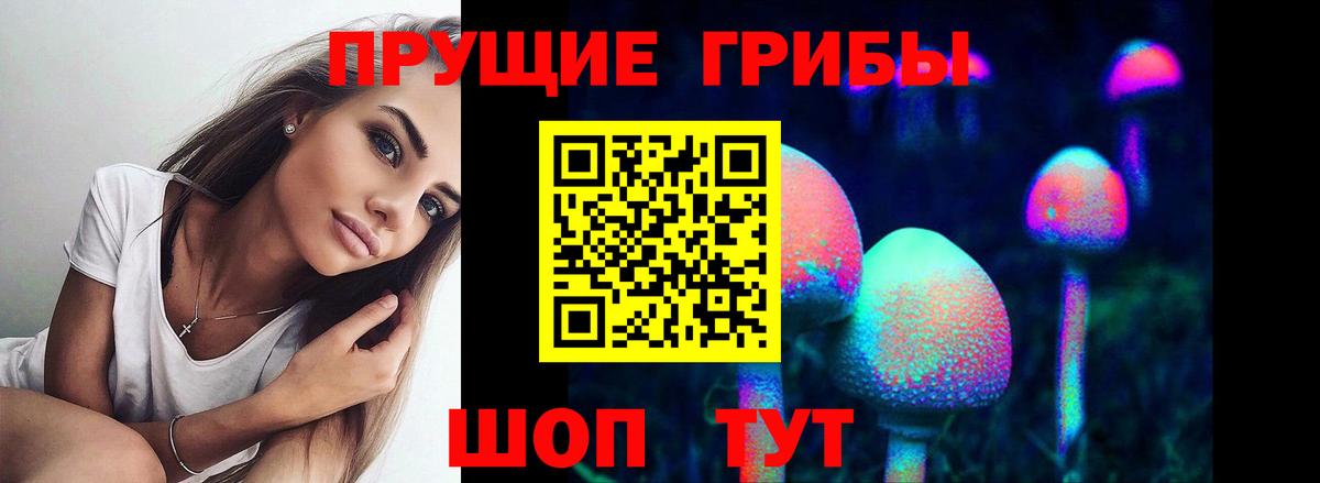 Холмск  Галлюциногенные грибы прущие грибы  Вход с VPN 